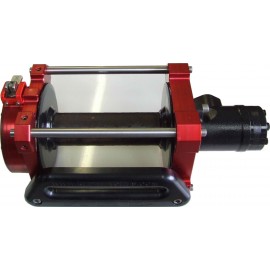 Red-Winches Terrier