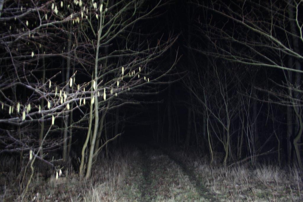 LED alene